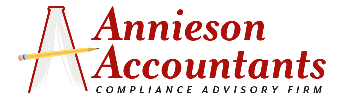ANNISON Accountant logo